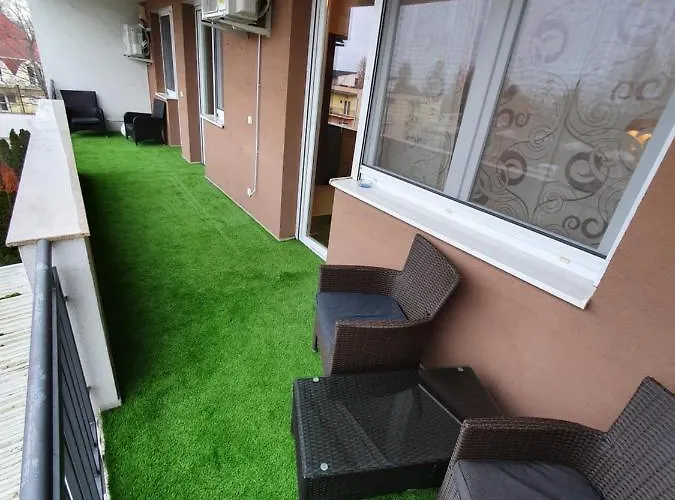 Black Brothers Wellness Daire