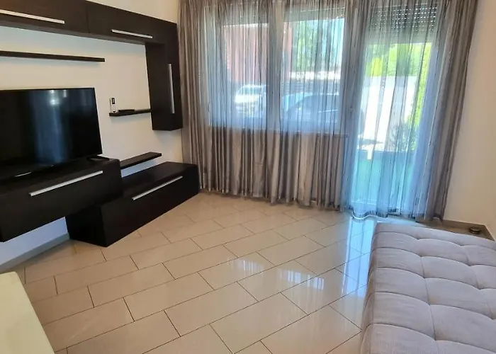 Black Brothers Wellness Daire *