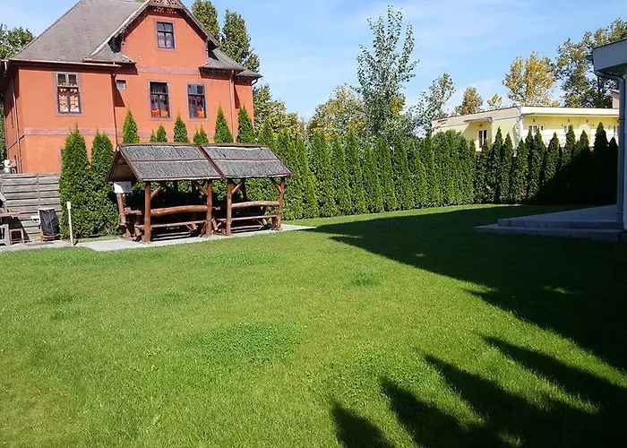 Black Brothers Wellness